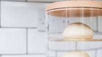 Sourdough Pizza Dough Sourdough Pizza Dough