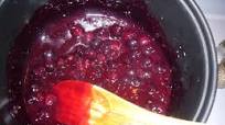 Blueberry-Orange Syrup Blueberry-Orange Syrup