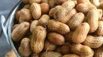 Instant Pot Boiled Peanuts Instant Pot Boiled Peanuts