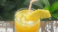 Jungle Cooler Jungle Cooler