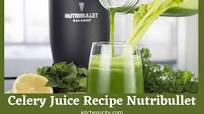 Recipe Of Celery Juice With Nut Milk Bag Recipe Of Celery Juice With Nut Milk Bag