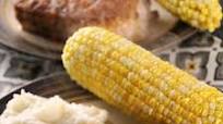 Nuwave Oven Parmesan Baked Pork Chops Nuwave Oven Parmesan Baked Pork Chops