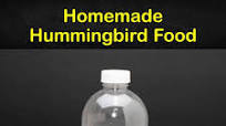 Homemade Hummingbird Food Homemade Hummingbird Food