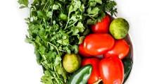 Fresh Garden Salsa Fresh Garden Salsa
