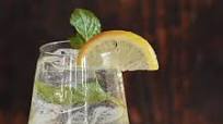 Hugo Prosecco Cocktail Hugo Prosecco Cocktail