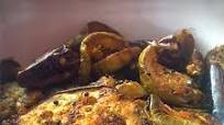 Crispy Green Brinjal Crispy Green Brinjal