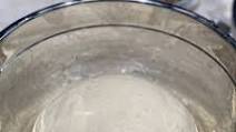 Overnight Pizza dough 🍕🍕🍕🌛 Overnight Pizza dough 🍕🍕🍕🌛
