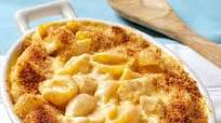 Cheesy Chicken 'n' Shells Cheesy Chicken 'n' Shells