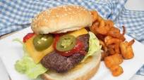 Air Fryer Venison Burgers Air Fryer Venison Burgers