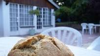 Bread Machine, Multigrain Bread Bread Machine, Multigrain Bread