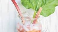 Strawberry Rhubarb Gin Fizz Strawberry Rhubarb Gin Fizz