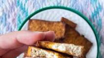 Tofu Tofu