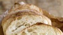 Fast Italian No Knead Ciabatta Bread Fast Italian No Knead Ciabatta Bread