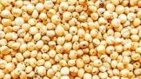 How to Cook Sorghum How to Cook Sorghum