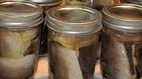 Canning Fish Canning Fish