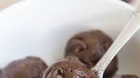Chocolate Cookie Dough Chocolate Cookie Dough