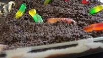 Eat This Dirt Cake Eat This Dirt Cake