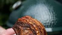 Berber-Spiced Loin of Pork with Black Garlic and Burnt Lime Berber-Spiced Loin of Pork with Black Garlic and Burnt Lime