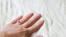 Homemade Pizza Dough Homemade Pizza Dough