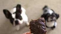 Homemade Beef Jerky for Dogs Homemade Beef Jerky for Dogs