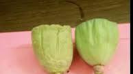 Lotus Buns Lotus Buns