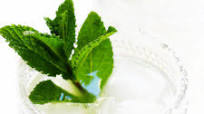 Fresh Mint Margaritas Fresh Mint Margaritas