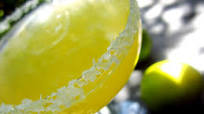 Agave Margarita Agave Margarita