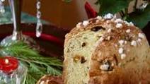 Perfect Italian Panettone Made in a Bread Machine and Baked in the Oven Perfect Italian Panettone Made in a Bread Machine and Baked in the Oven