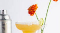 Cadillac Margarita Cadillac Margarita