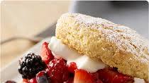 Shortcakes Shortcakes
