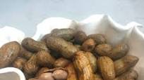 Homemade Cajun Boiled Peanuts Homemade Cajun Boiled Peanuts