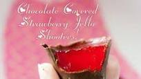 Chocolate Covered Strawberry Jello Shooters Chocolate Covered Strawberry Jello Shooters