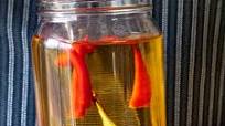 Chili Infused Tequila Recipe - How to Infuse Tequila with Chili Peppers Chili Infused Tequila Recipe - How to Infuse Tequila with Chili Peppers