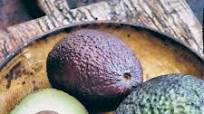 Guacamole Guacamole