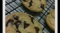 Chewy Chocolate Chip Cookies (bite size) Chewy Chocolate Chip Cookies (bite size)