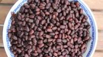 Instant Pot Adzuki Beans Instant Pot Adzuki Beans