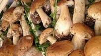 Bruschetta con porcini Bruschetta con porcini