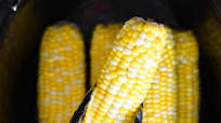 Slow Cooker Corn On The Cob Slow Cooker Corn On The Cob