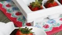 Chocolate-Covered Strawberries Made In An Ice Cube Tray Chocolate-Covered Strawberries Made In An Ice Cube Tray