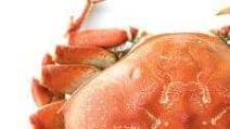 Mae's San Francisco Dungeness Crab Cioppino Mae's San Francisco Dungeness Crab Cioppino