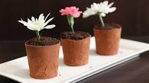Flower Pot Dessert Recipe Flower Pot Dessert Recipe