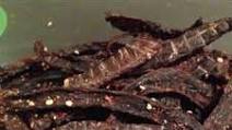 Jerky Lovers Beef Jerky - Sweet & Spicy Recipe - (4.2/5) Jerky Lovers Beef Jerky - Sweet & Spicy Recipe - (4.2/5)