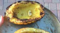 How To Grill Spaghetti Squash How To Grill Spaghetti Squash