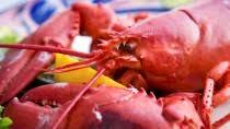 LOBSTER IN A SPICY TOMATO SAUCE LOBSTER IN A SPICY TOMATO SAUCE