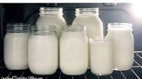 GREEK YOGURT IN A CROCKPOT ( FOOLPROOF ) GREEK YOGURT IN A CROCKPOT ( FOOLPROOF )