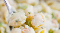 Very Best Shrimp Macaroni Salad Very Best Shrimp Macaroni Salad