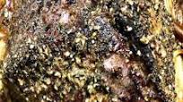 Italian Roast Beef Italian Roast Beef