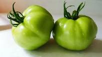 Baked Green Tomatoes Recipe Baked Green Tomatoes Recipe