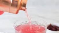 PINK CRANBERRY AND GIN MARTINI PINK CRANBERRY AND GIN MARTINI