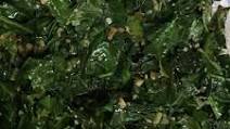 Collard Greens Vegetarian Recipe, How To Stir Fry Collard Greens Quickly Collard Greens Vegetarian Recipe, How To Stir Fry Collard Greens Quickly